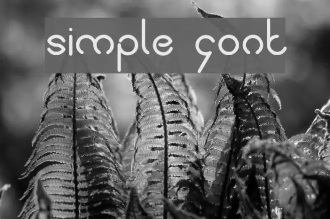 simple font Шрифта examples