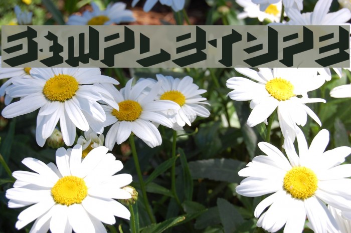 simpletype Font examples