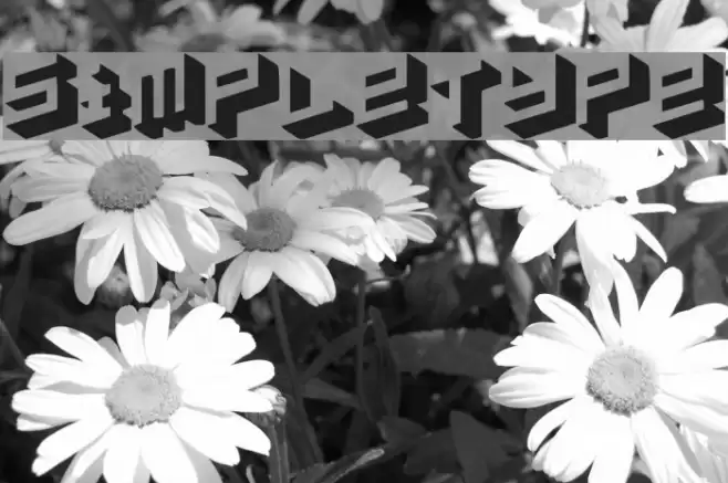 simpletype Font examples