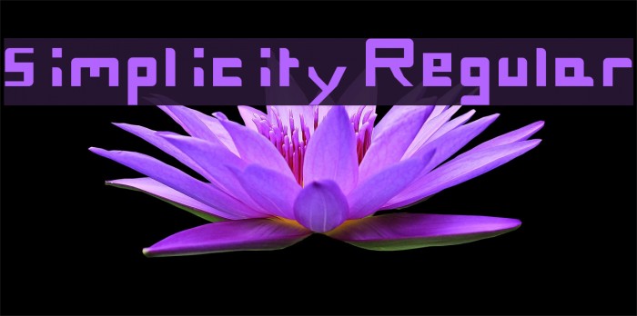 simplicity Regular Font examples