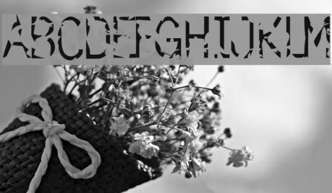 simulation Font examples