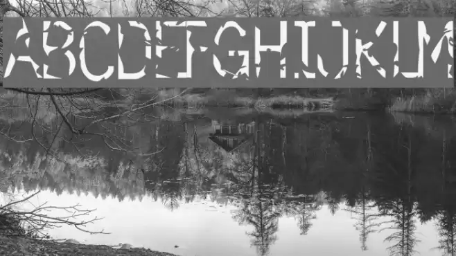 simulation Font examples