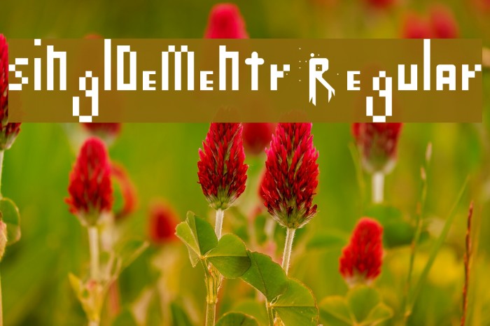 singlDementr Regular Example 2