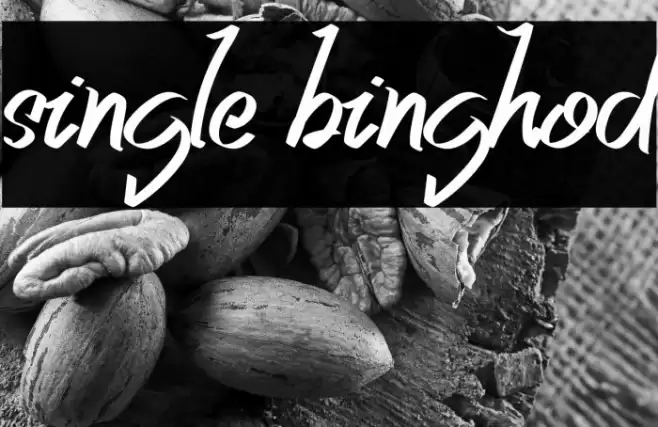single binghod Font examples