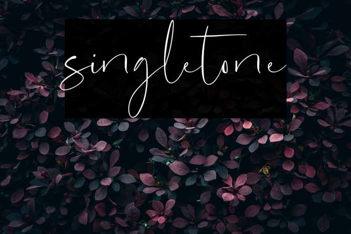 singletone Example 1