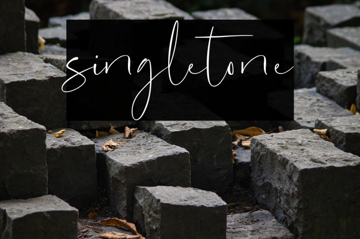 singletone Example 2