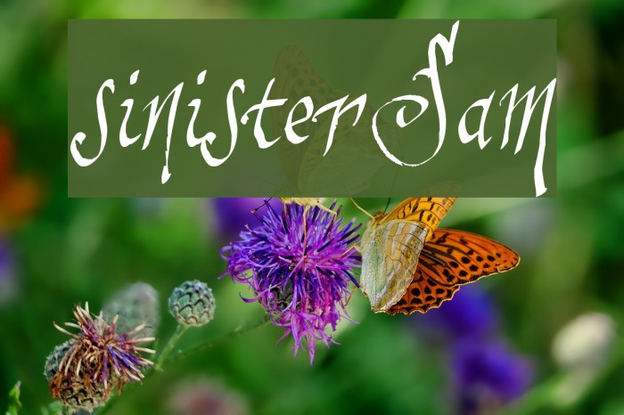 sinisterSam Font examples