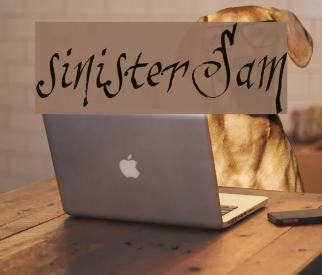 sinisterSam Example 2