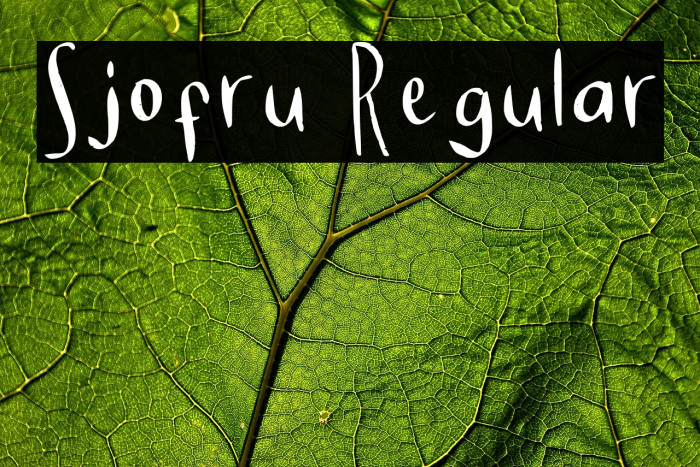 Sjofru Regular Example 2