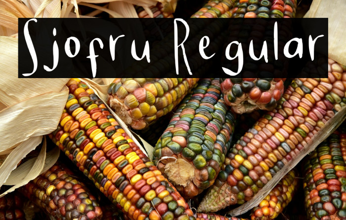 Sjofru Regular Example 3