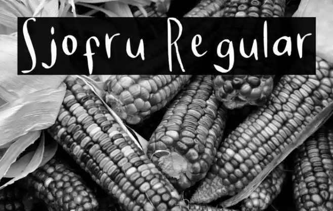 Sjofru Regular Caratteri examples