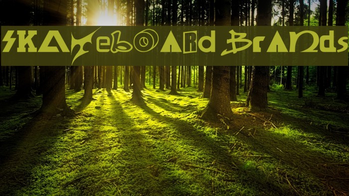 SKATEBOaRD braNds Example 1