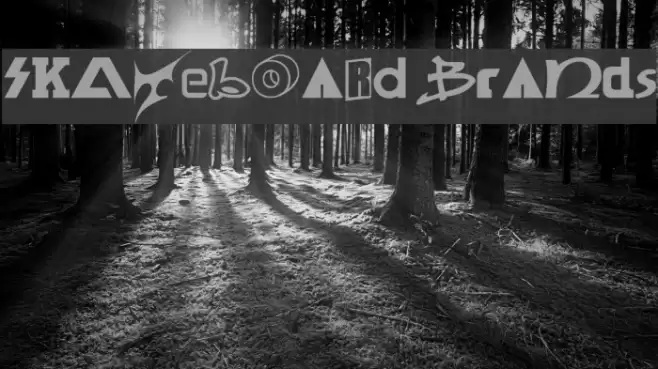 SKATEBOaRD braNds Font examples