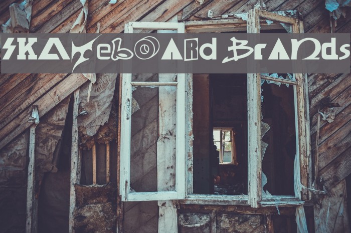 SKATEBOaRD braNds Example 2