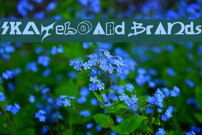 SKATEBOaRD braNds Example 3