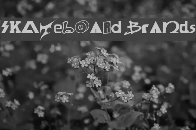 SKATEBOaRD braNds Font examples