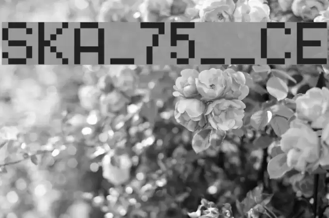 SKA_75_marul_CE Font examples