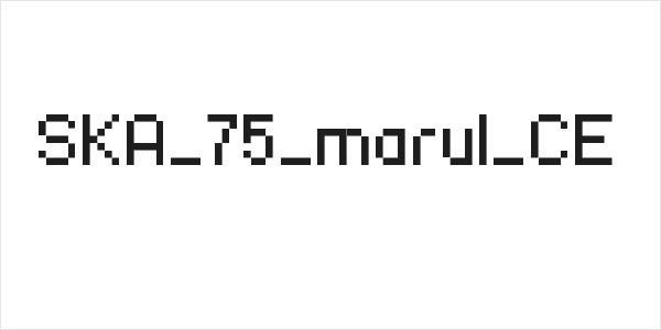 SKA_75_marul_CE Logo