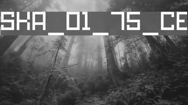 SKA_cubic01_75_CE Font examples