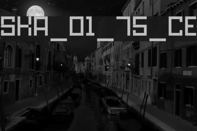 SKA_cubic01_75_CE Font examples