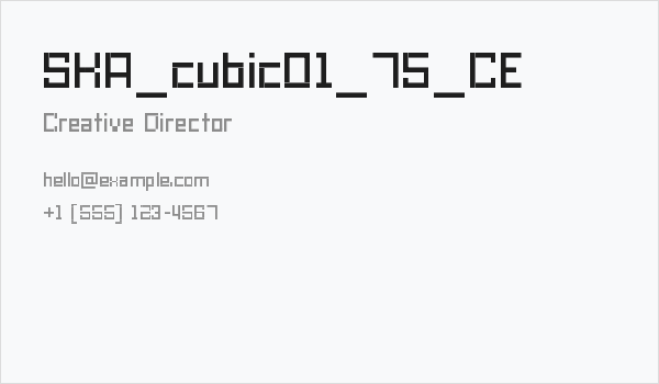 SKA_cubic01_75_CE Business Card