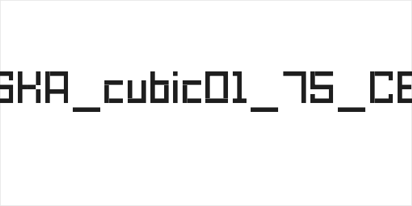 SKA_cubic01_75_CE Logo