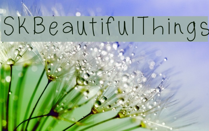 SKBeautifulThings Font examples