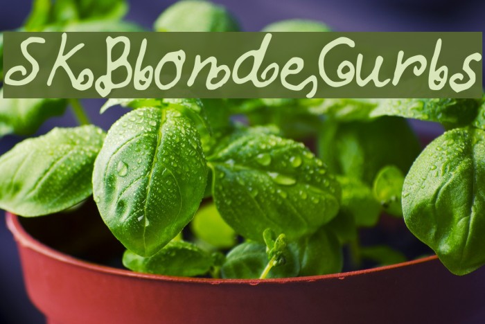 SKBlondeCurls Font examples