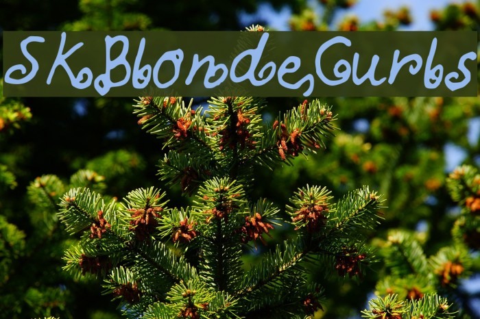 SKBlondeCurls Font examples