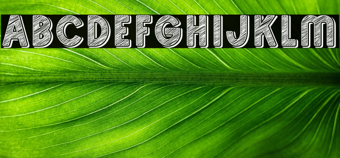 SKETCHUP FREE TRIAL Example 1