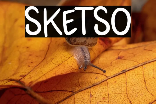 SKETSO Example 1