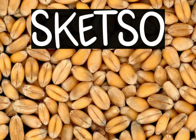 SKETSO Example 2