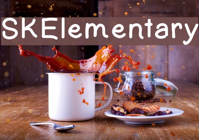 SKElementary Example 1