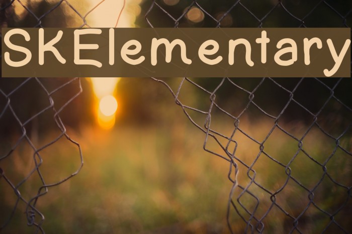 SKElementary Example 2