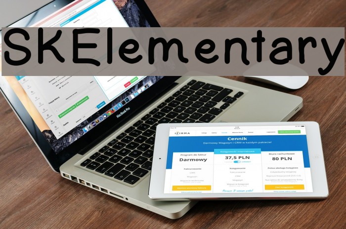 SKElementary Example 3