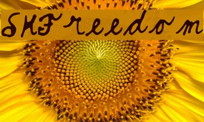 SKFreedom Example 1