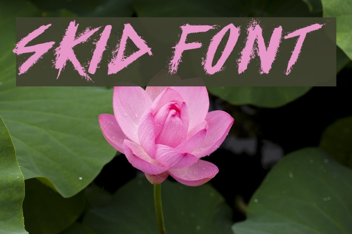 SKID Font examples