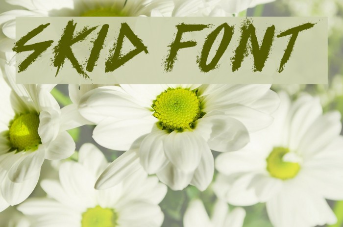 SKID Font examples