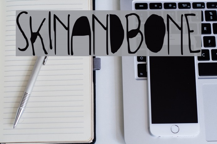 SKINANDBONE Example 2