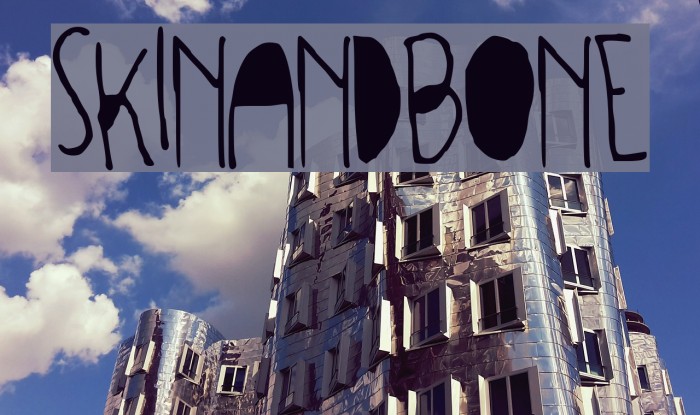 SKINANDBONE Example 3