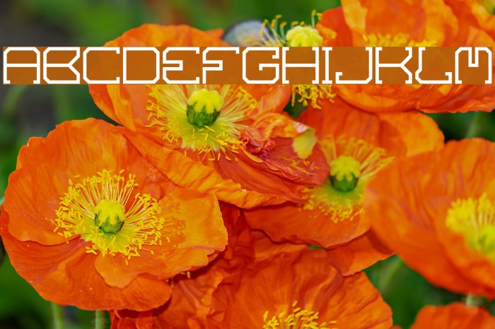SKOV Font examples