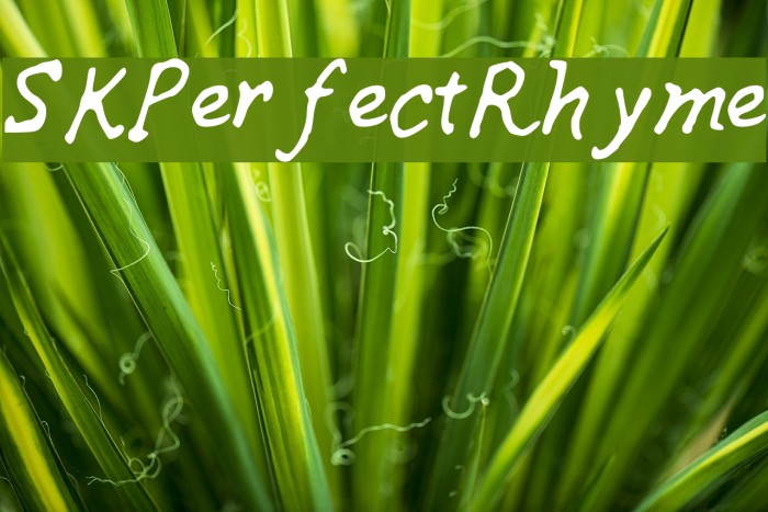 SKPerfectRhyme Font examples