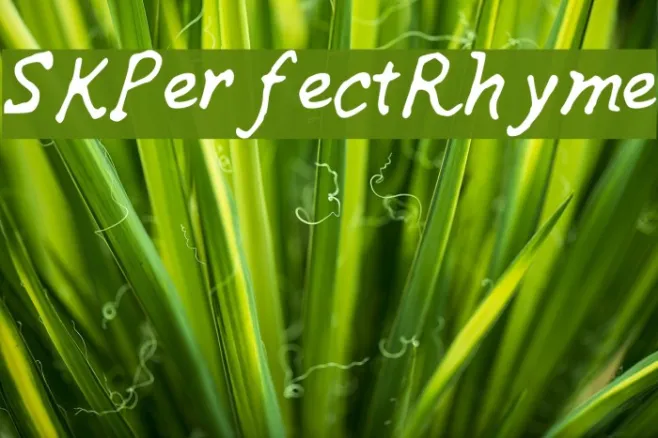 SKPerfectRhyme Example 3