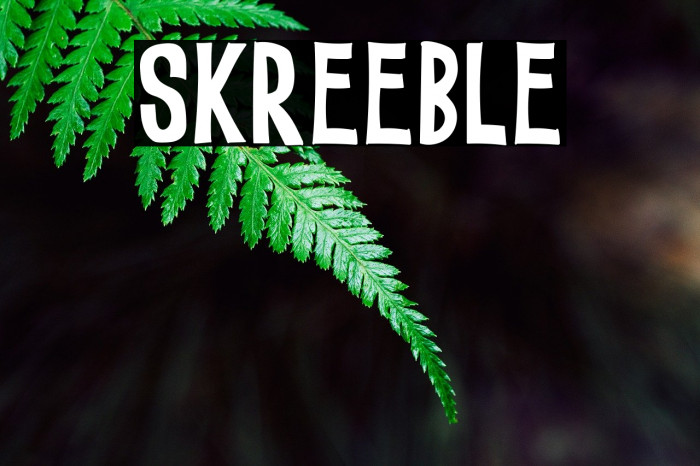 SKREEBLE Example 2