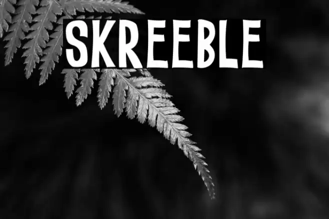 SKREEBLE Font examples