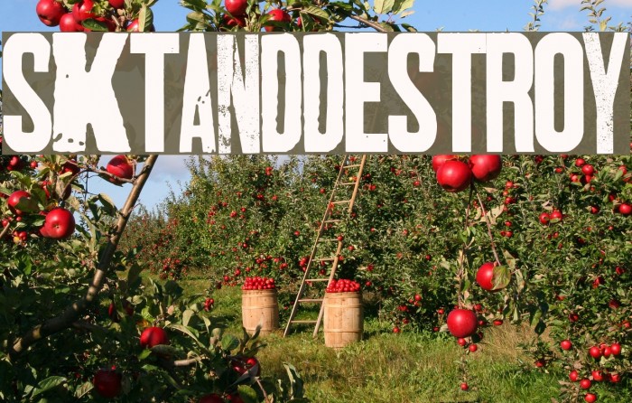 SKTANDDESTROY Example 2