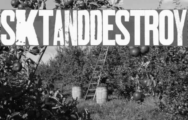 SKTANDDESTROY Font examples