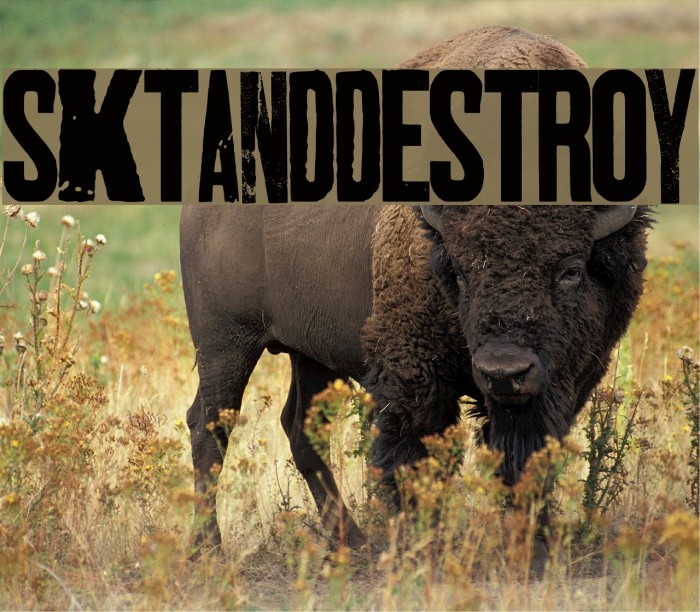 SKTANDDESTROY Example 3