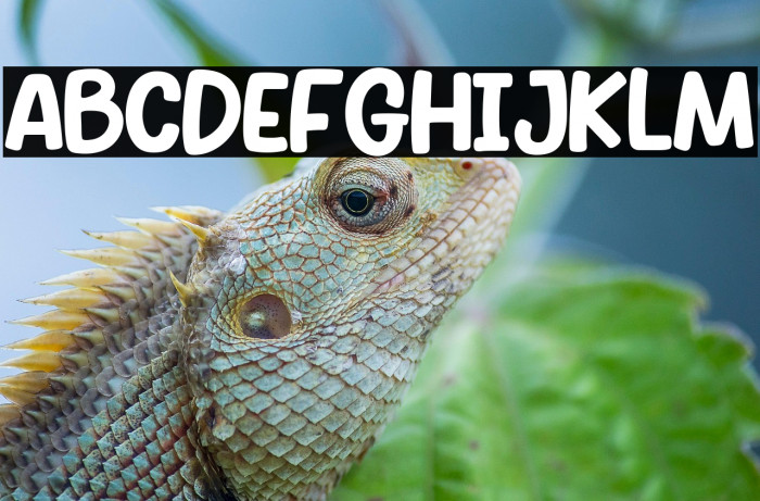 SKULL BONES Bold Example 2