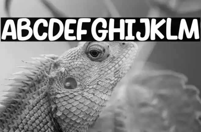 SKULL BONES Bold Font examples